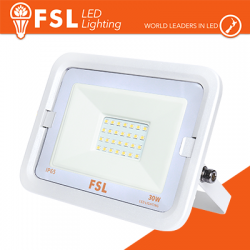 Proiettore per esterni Bianco 30W - IP65 115...