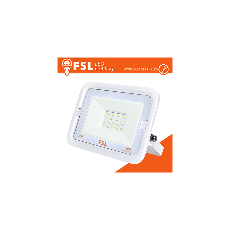 Proiettore per esterni Bianco 30W - IP65 115 Gradi 6500K